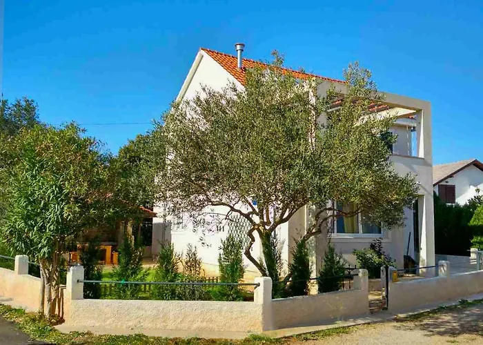 Maslina Tree House