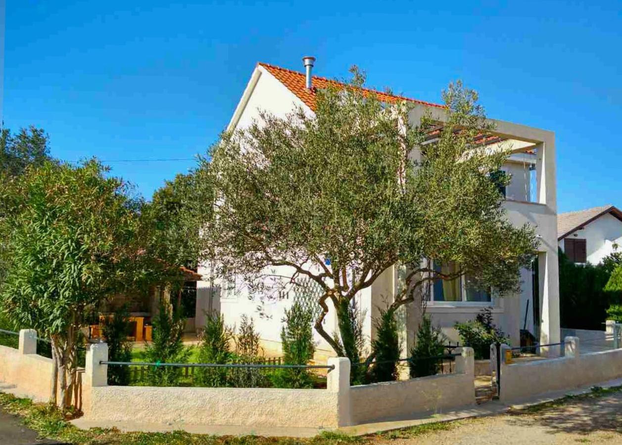Apartment Maslina Tree House